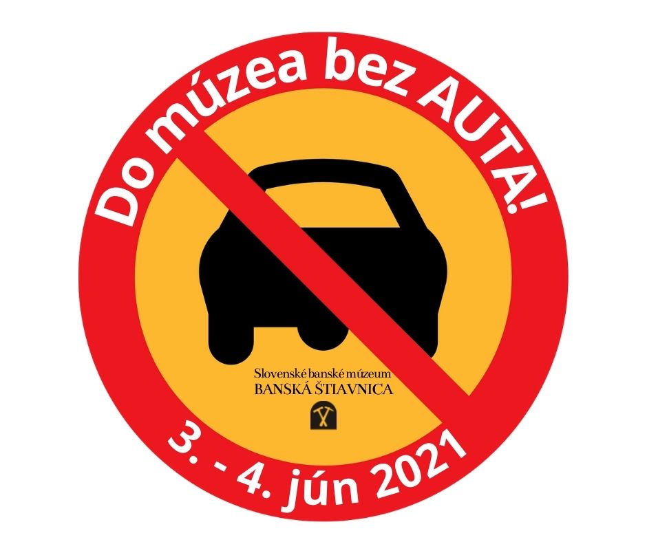 Den-bez-auta